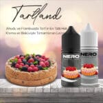TARTLAND-SALT LİKİT
